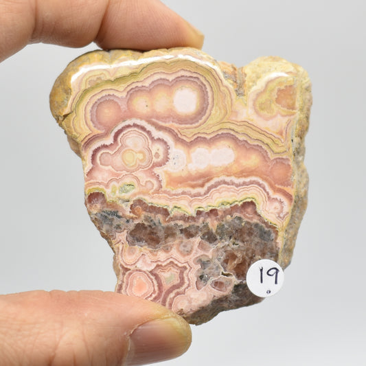 Raw Rhodochrosite Slab Slice Specimen from Argentina - 88 grams #19