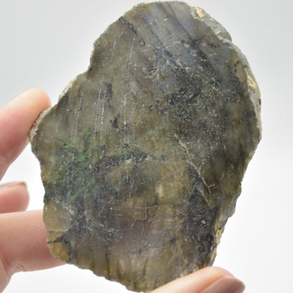 Labradorite Freeform Slice - 90 grams - #01