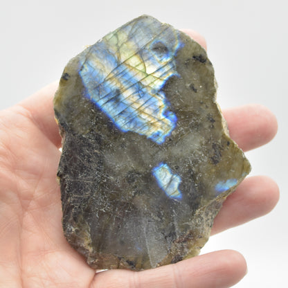 Labradorite Freeform Slice - 90 grams - #01