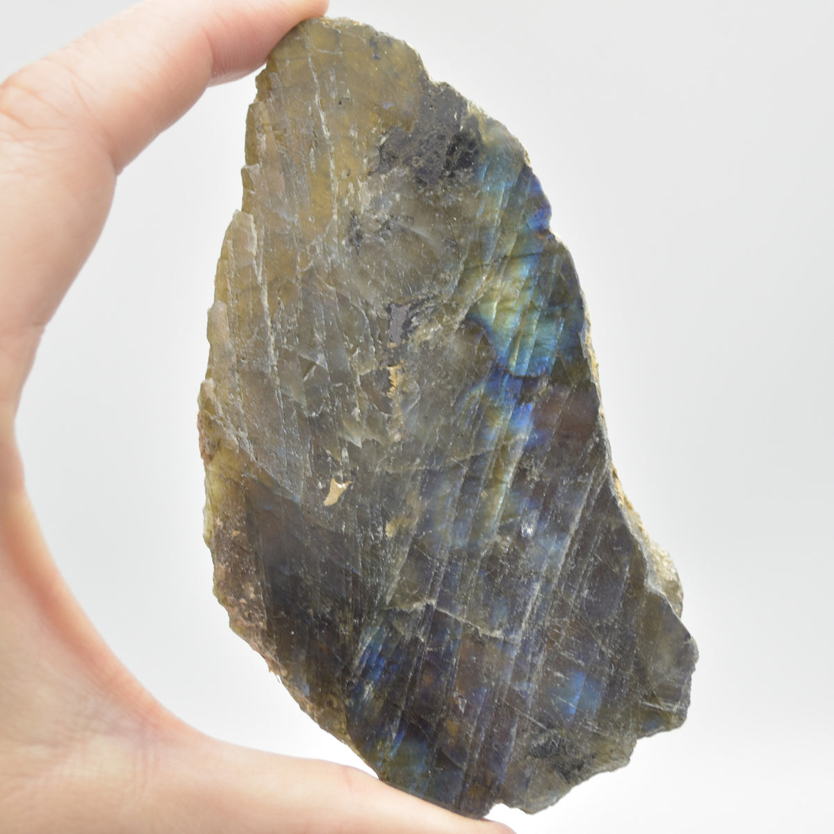 Labradorite Freeform Slice - 89 grams - #04