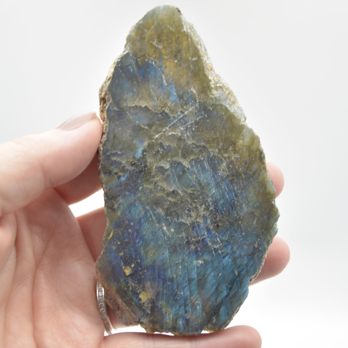 Labradorite Freeform Slice - 89 grams - #04