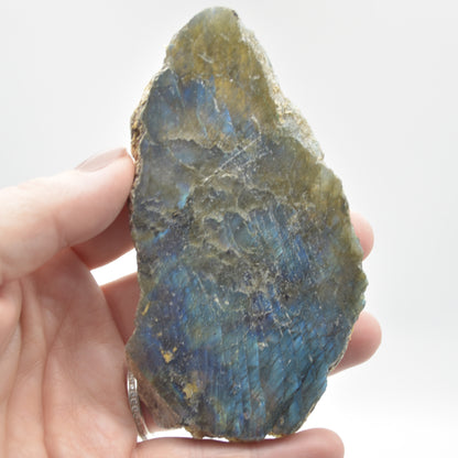 Labradorite Freeform Slice - 89 grams - #04
