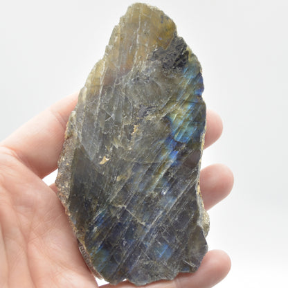 Labradorite Freeform Slice - 89 grams - #04