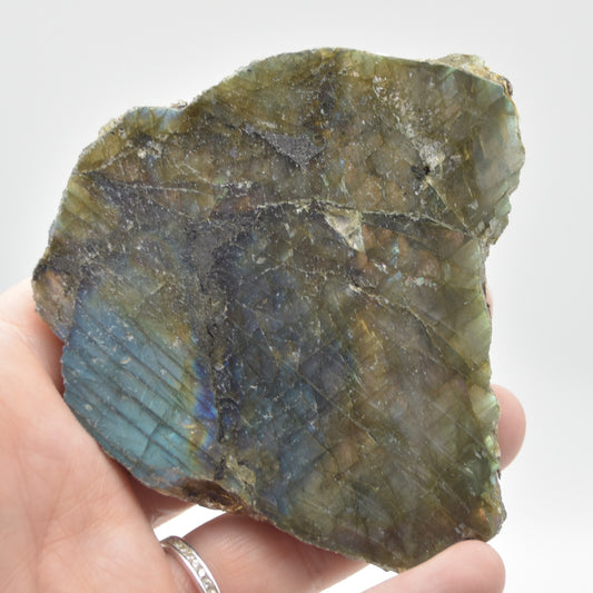 Labradorite Freeform Slice - 106 grams - #05