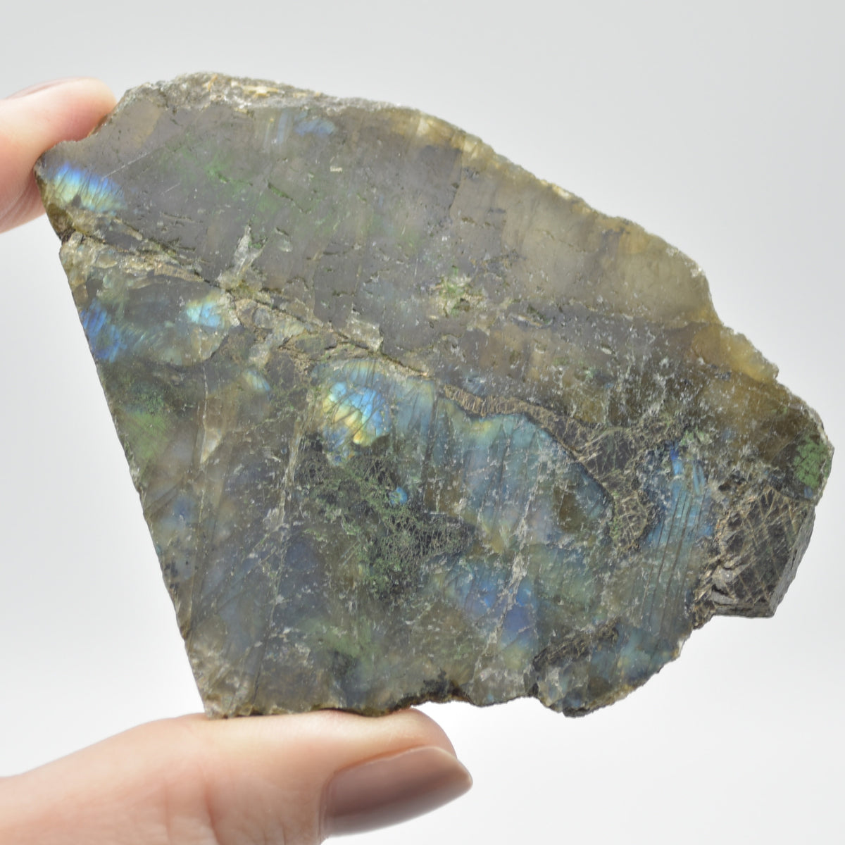 Labradorite Freeform Slice - 78 grams - #08