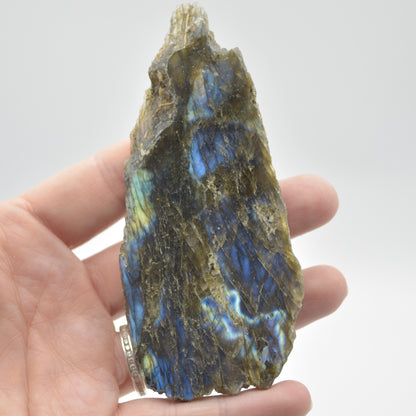 Labradorite Freeform Slice - 69 grams - #10