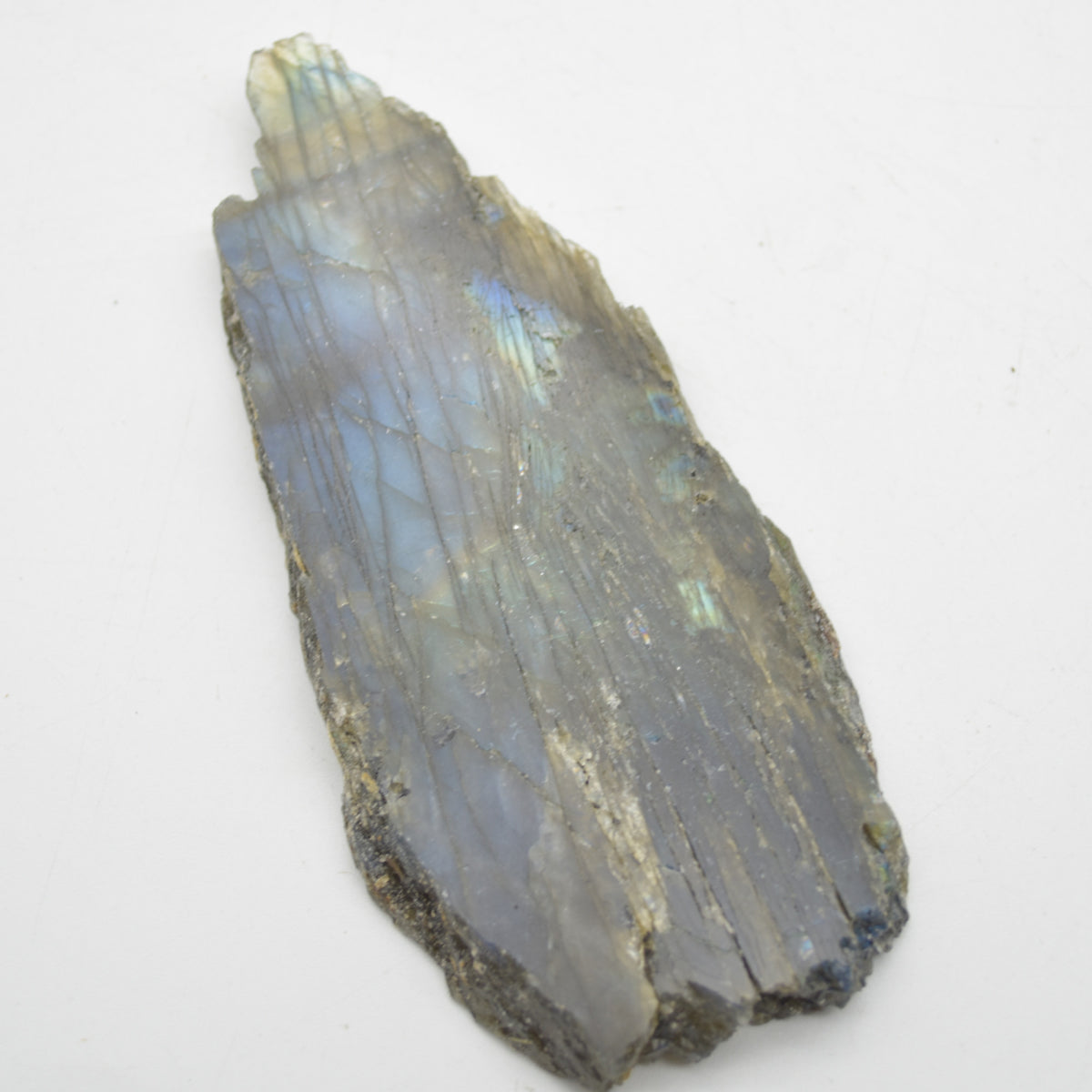 Labradorite Freeform Slice - 69 grams - #10