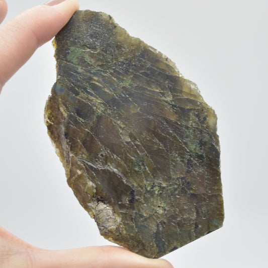 Labradorite Freeform Slice - 81 grams - #11