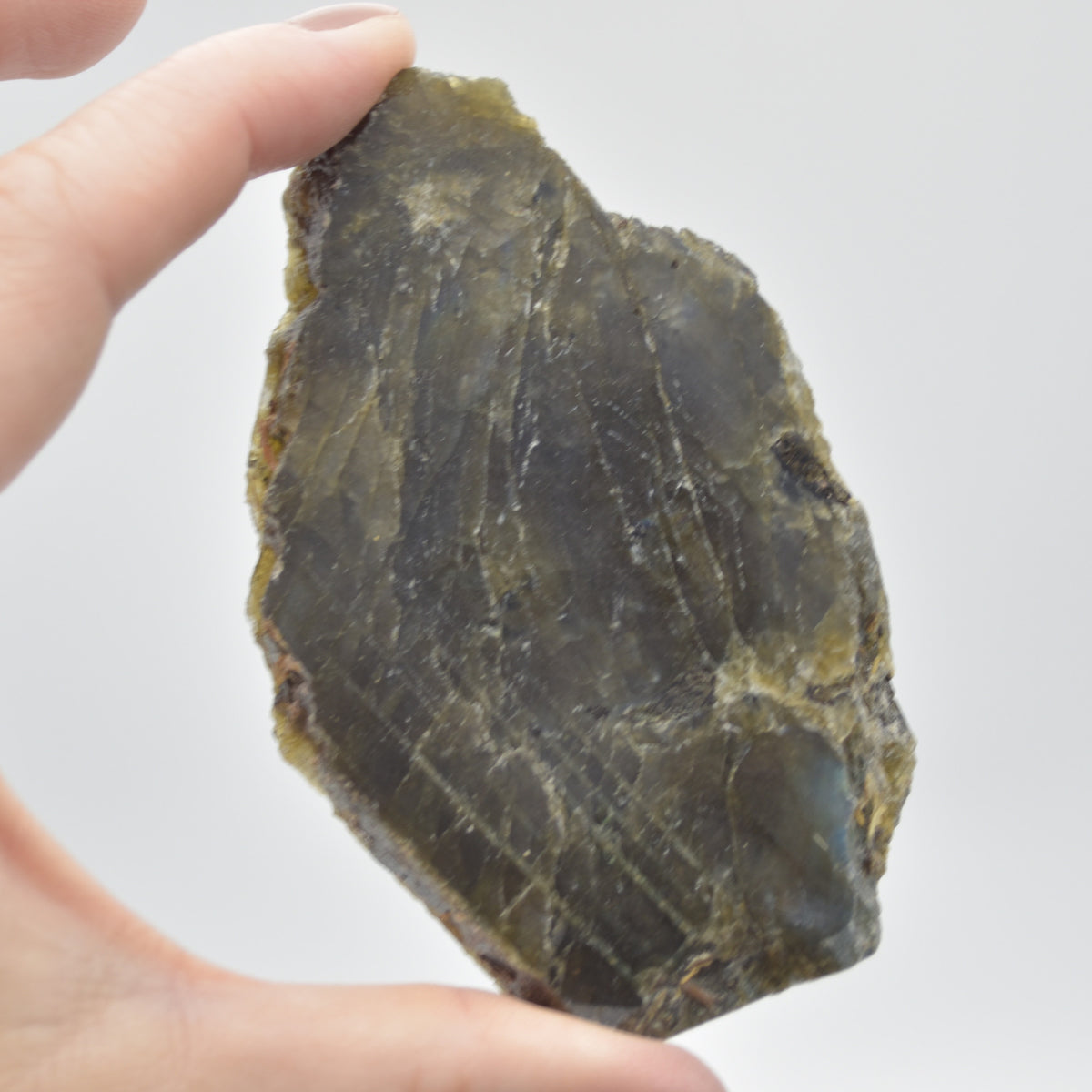 Labradorite Freeform Slice - 81 grams - #11