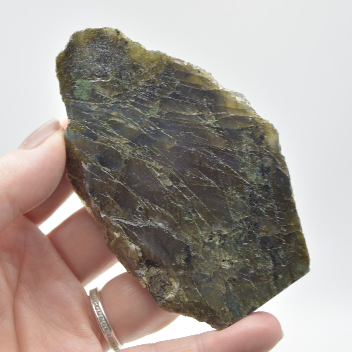 Labradorite Freeform Slice - 81 grams - #11