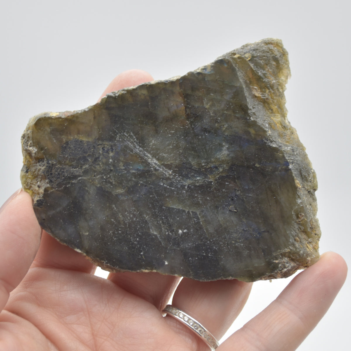 Labradorite Freeform Slice - 92 grams - #12