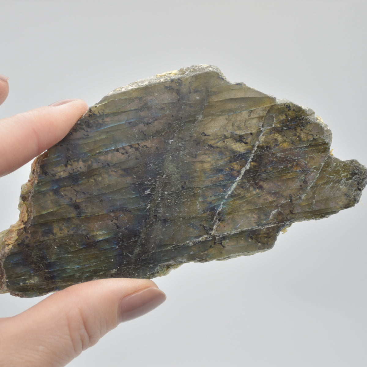 Labradorite Freeform Slice - 107 grams - #18