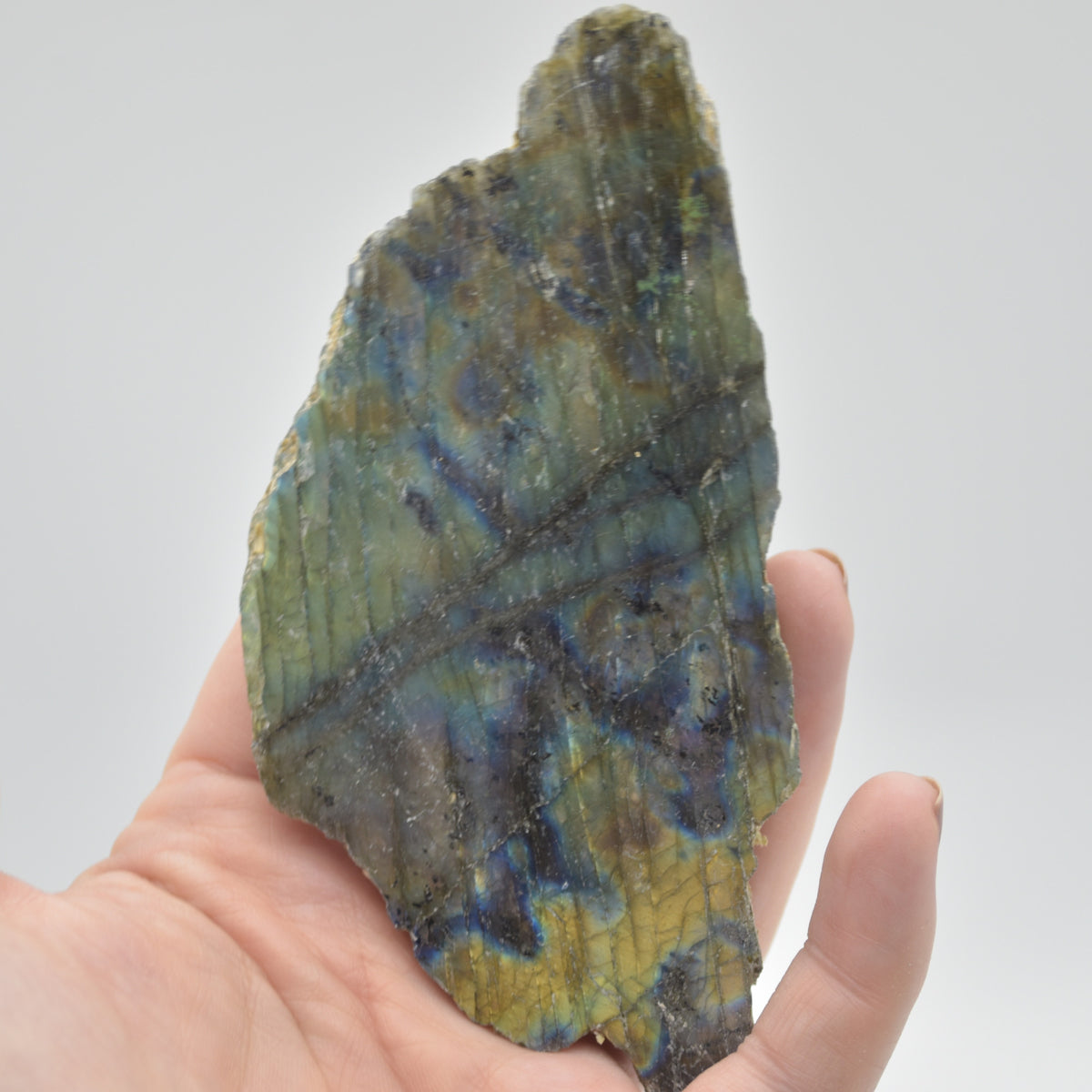 Labradorite Freeform Slice - 107 grams - #18