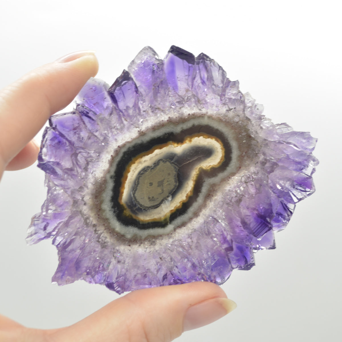 Amethyst Crystal Stalactite Slice from Brazil - 8.3cm x 6.6cm x 0.4cm