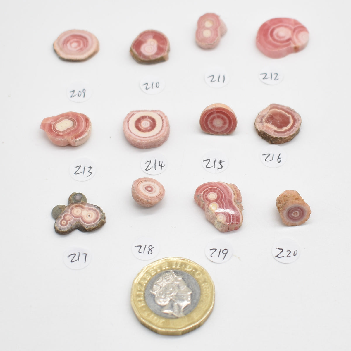 Rhodochrosite Stalactite Slices from Argentina - Lot 2 - 12 options