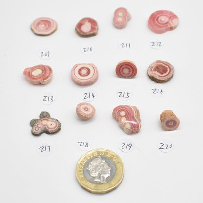 Rhodochrosite Stalactite Slices from Argentina - Lot 2 - 12 options