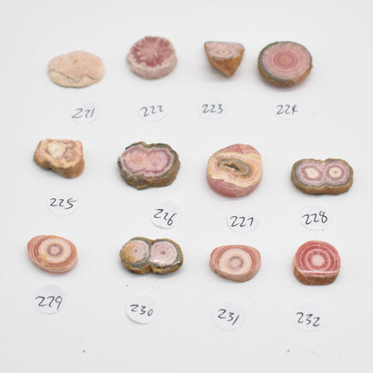 Rhodochrosite Stalactite Slices from Argentina - Lot 2 - 12 options