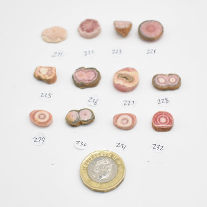 Rhodochrosite Stalactite Slices from Argentina - Lot 2 - 12 options