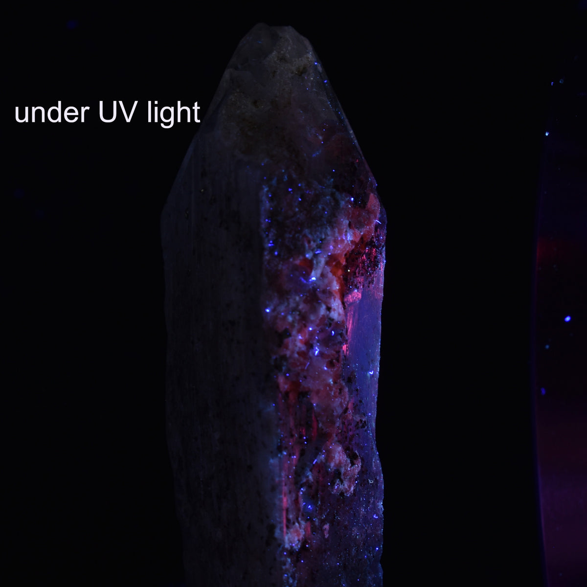Danburite (with Pyrite and Calcite) UV Reactive Crystal Raw Point Specimen from Mexico - 42 grams - #14