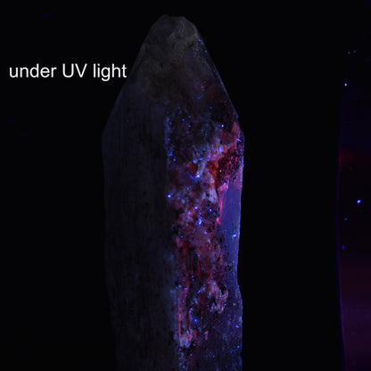 Danburite (with Pyrite and Calcite) UV Reactive Crystal Raw Point Specimen from Mexico - 42 grams - #14