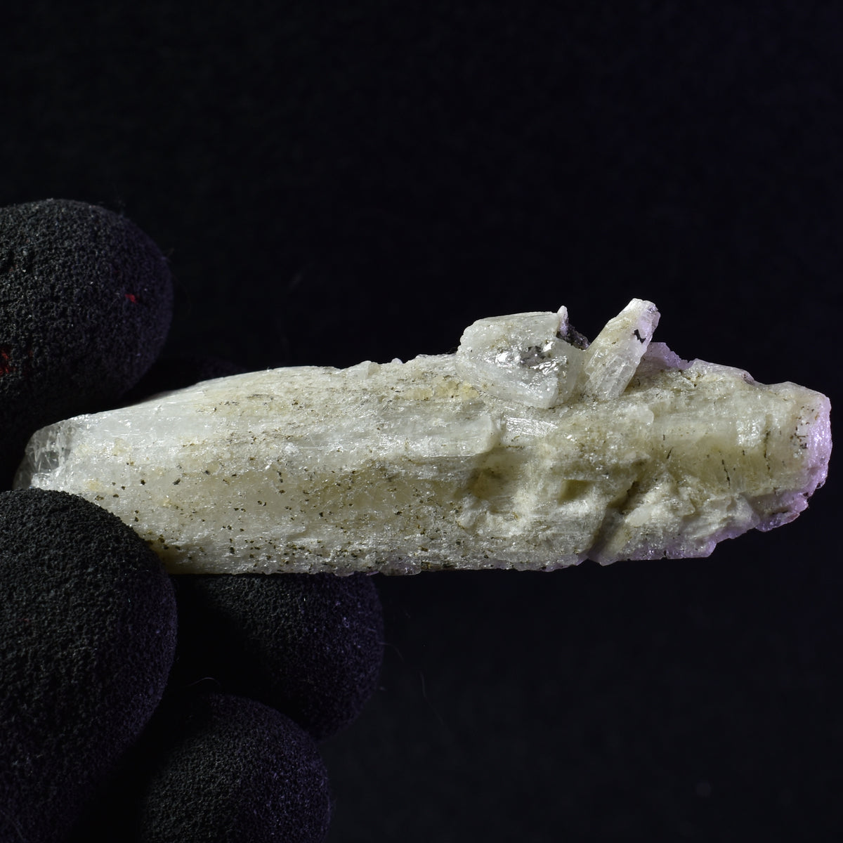Danburite (with Pyrite) UV Reactive Crystal Raw Point Specimen from Mexico - 17 grams - #17