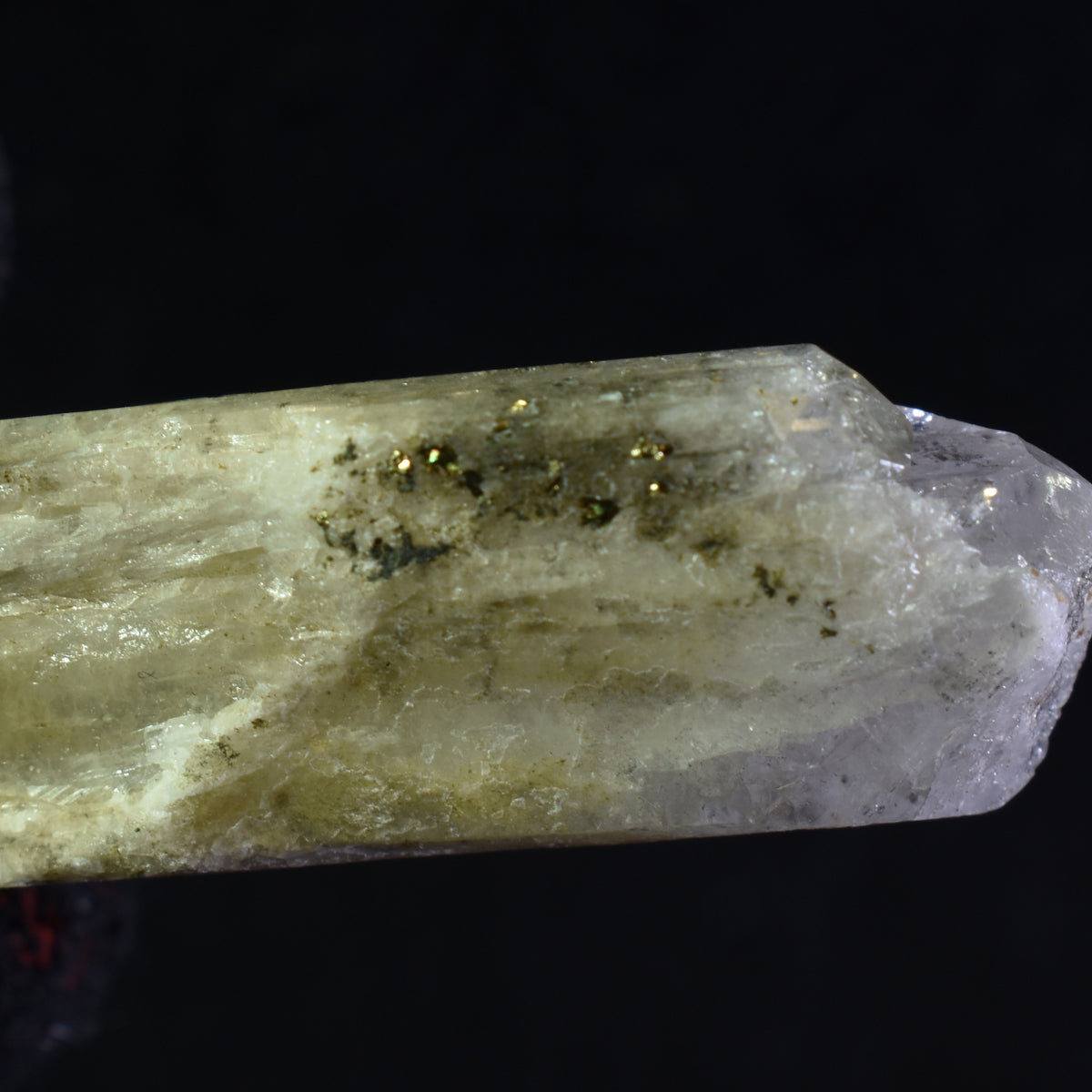 Danburite (with Chalcopyrite) UV Reactive Crystal Raw Point Specimen from Mexico - 24 grams - #26