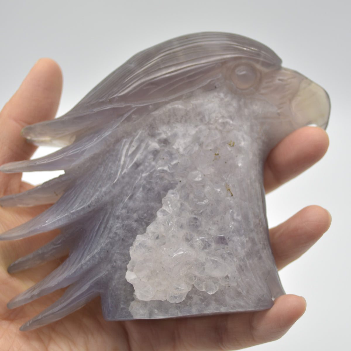 Druzy Agate Crystal Eagle Head - 10.5cm x 12cm x 3.8cm - 542 grams #02