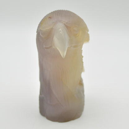 Druzy Agate Crystal Eagle Head - 12cm x 11.5cm x 5cm - 727 grams #08