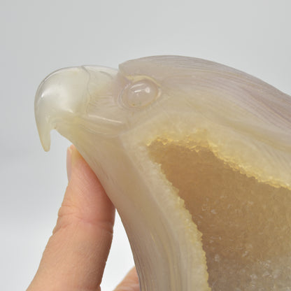 Druzy Agate Crystal Eagle Head - 12cm x 11.5cm x 5cm - 727 grams #08