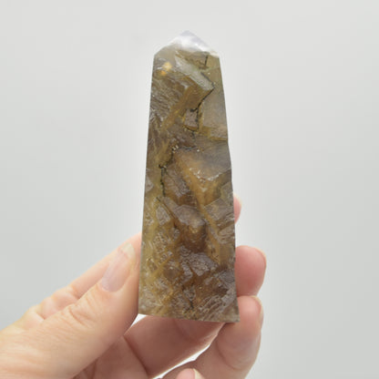 Rainbow Fluorite Freeform Slice - 175 grams - #008