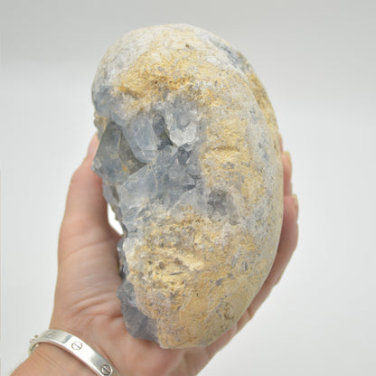 Celestite Crystal Geode - 2171 grams - #01