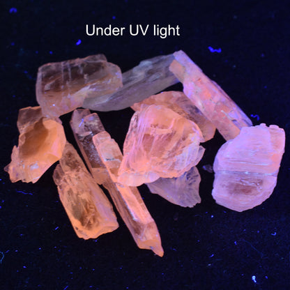 Hiddenite RARE Raw Green Kunzite Crystal Chip Specimens - 3 Sizes - 1 Count