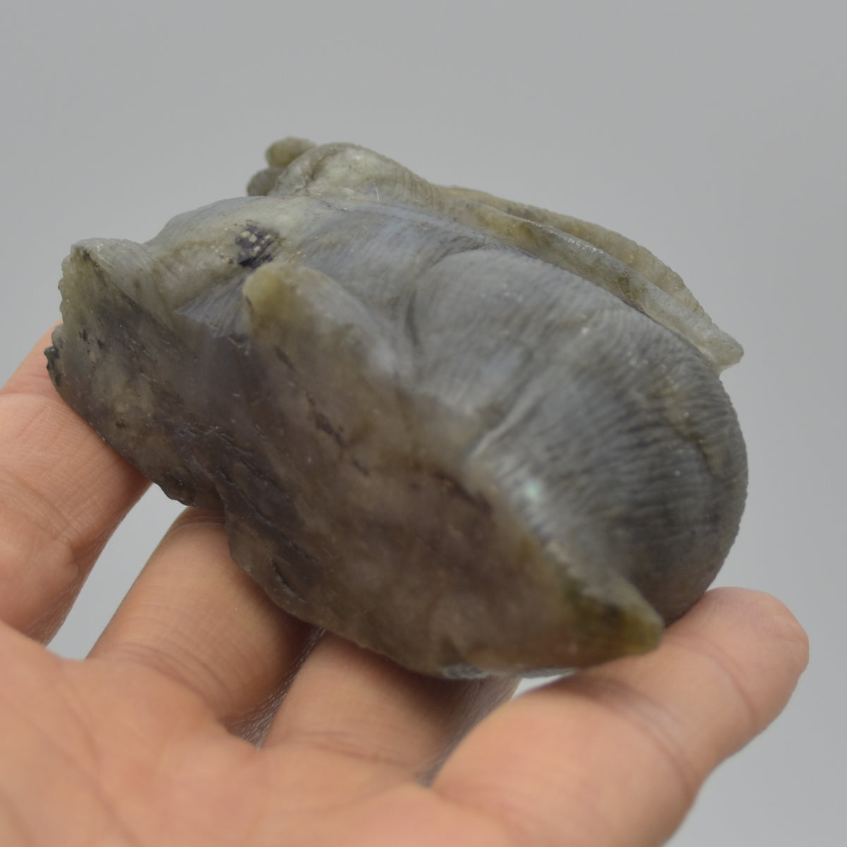 Labradorite Carved Rabbit - 8.5cm - 197 grams #04