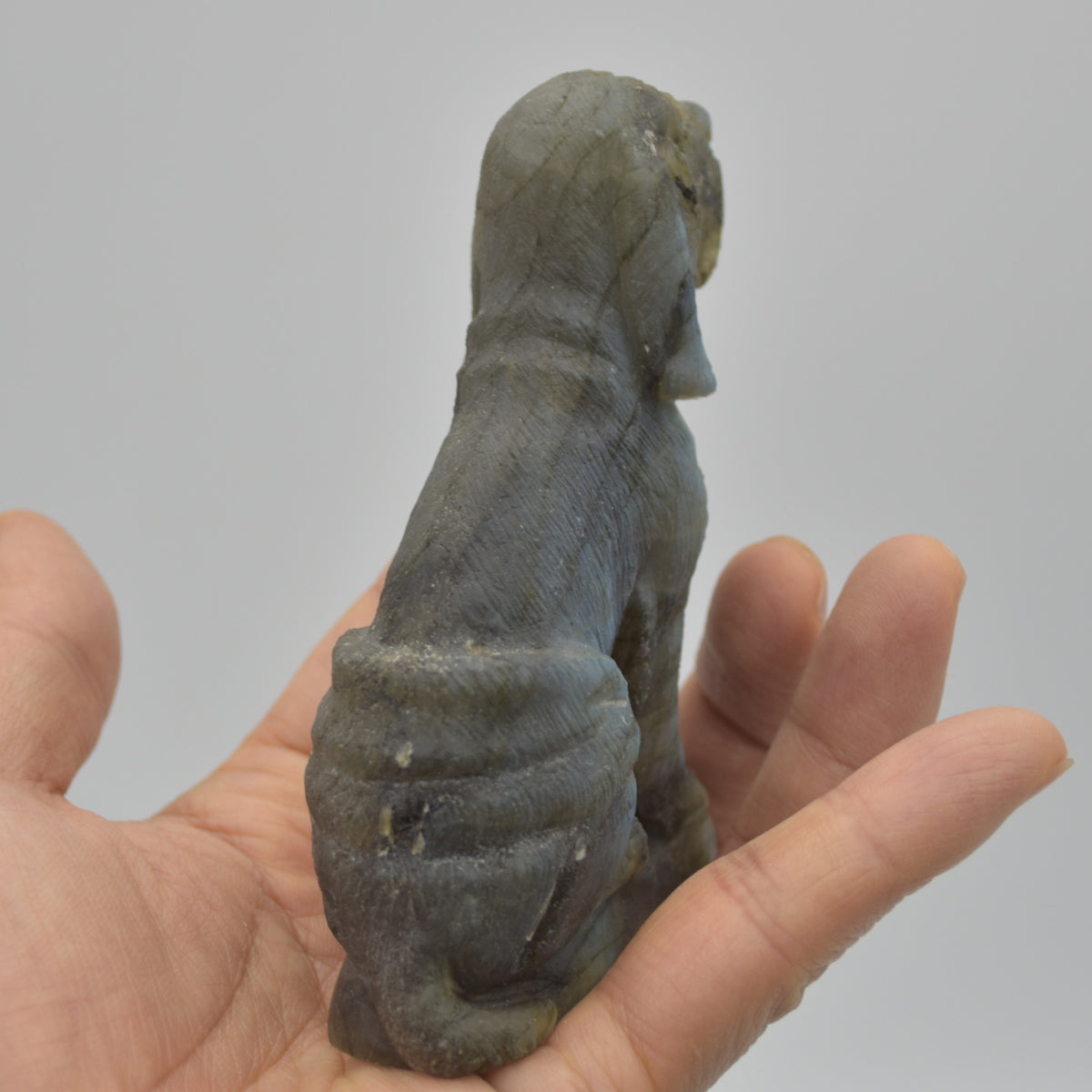 Labradorite Sitting Blood Hound Dog - 9cm x 6.5cm x 3cm - 227 grams #01