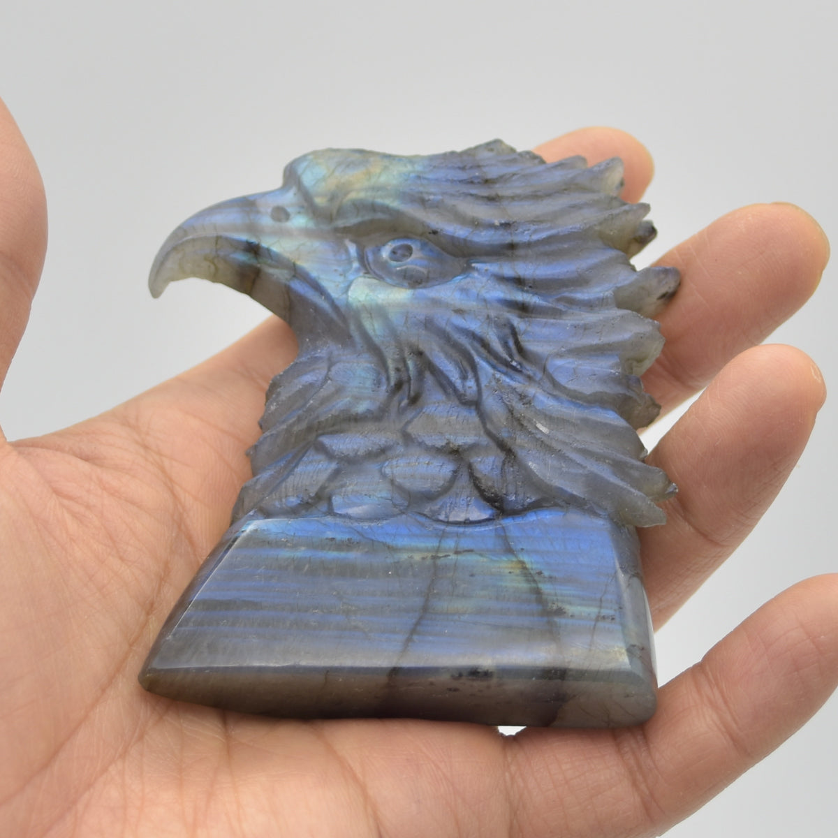 Labradorite Flat Crystal Eagle Head - 8cm x 6cm x 2cm - 154 grams # 01