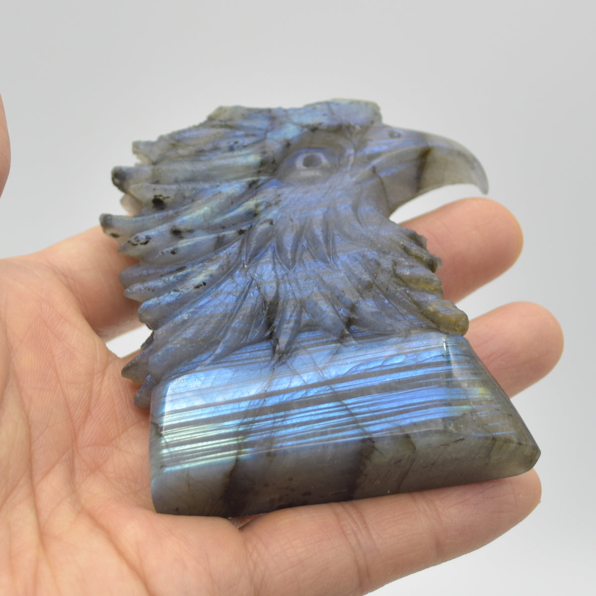 Labradorite Flat Crystal Eagle Head - 8cm x 6cm x 2cm - 154 grams # 01