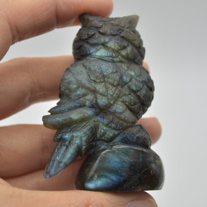 Labradorite Crystal Owl on Rock - 6cm x 4cm x 2.5cm - 86 grams #01