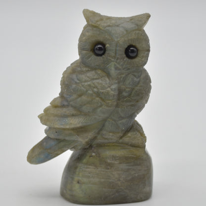 Labradorite Crystal Owl on Rock - 8cm x 5cm x 3cm - 150 grams #01