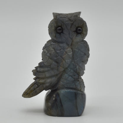Labradorite Crystal Owl on Rock - 7.5cm x 4.5cm x 3cm - 136 grams #10