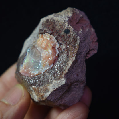 Mexican Rough Raw Fire Opal in Matrix Specimen Stone - 338ct #27