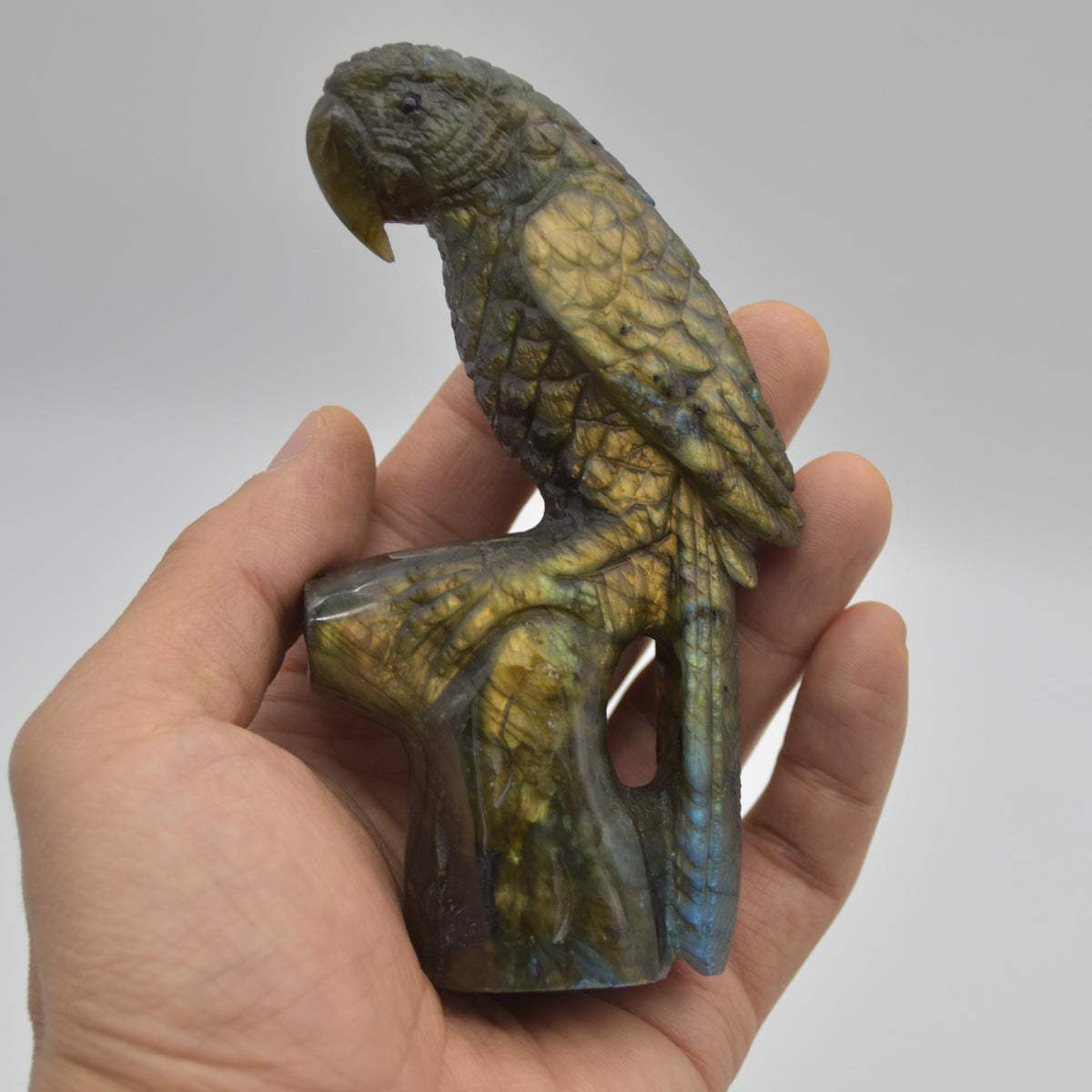 Labradorite Crystal Parrot on Branch - 11.5cm x 6.5cm x 3.5cm - 232 grams #02