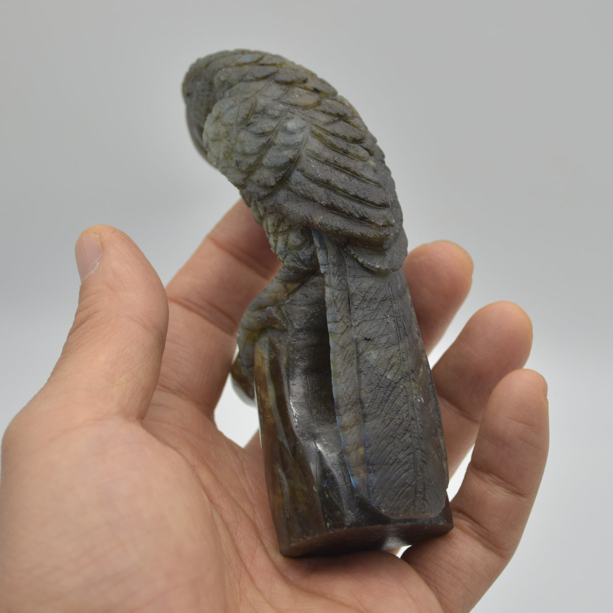 Labradorite Crystal Parrot on Branch - 11.5cm x 6.5cm x 3.5cm - 232 grams #02