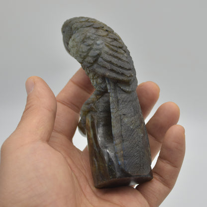 Labradorite Crystal Parrot on Branch - 11.5cm x 6.5cm x 3.5cm - 232 grams #02
