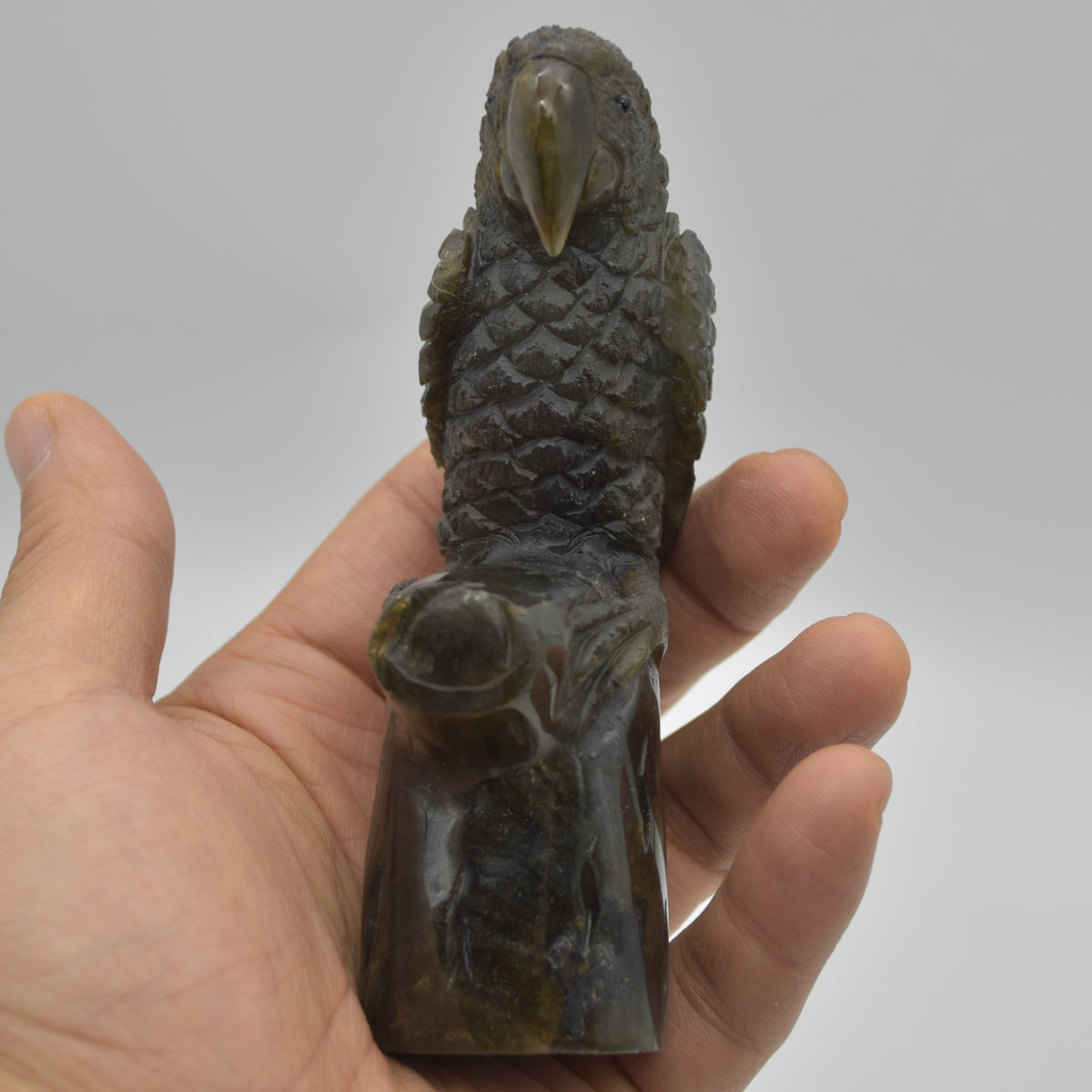 Labradorite Crystal Parrot on Branch - 11.5cm x 6.5cm x 3.5cm - 232 grams #02
