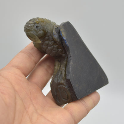 Labradorite Crystal Parrot on Branch - Part Carved - 8cm x 7cm x 3.5cm - 205 grams #05