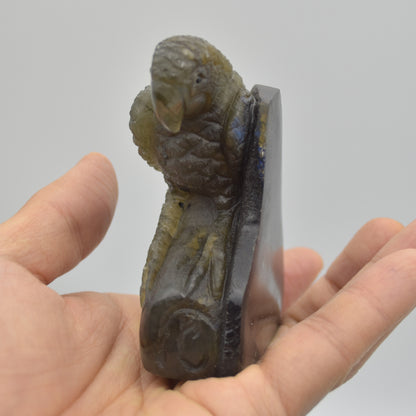 Labradorite Crystal Parrot on Branch - Part Carved - 8cm x 7cm x 3.5cm - 205 grams #05