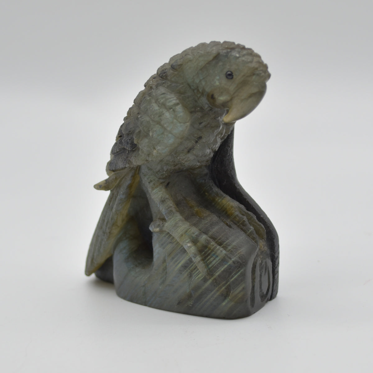 Labradorite Crystal Parrot on Branch - Part Carved - 8cm x 7cm x 3.5cm - 205 grams #05