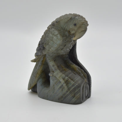 Labradorite Crystal Parrot on Branch - Part Carved - 8cm x 7cm x 3.5cm - 205 grams #05