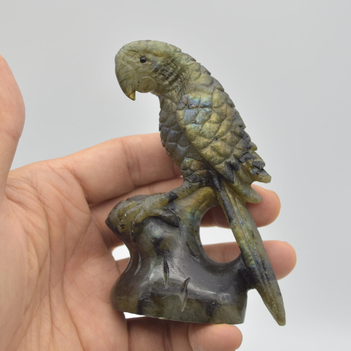 Labradorite Crystal Parrot on Branch - 9.5cm x 7cm x 3.5cm - 166 grams #06