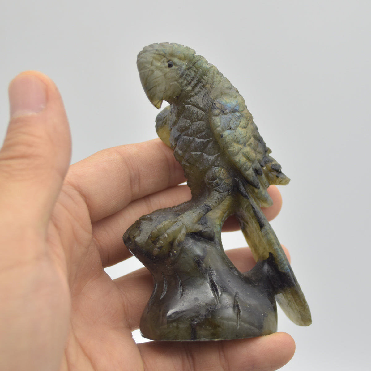 Labradorite Crystal Parrot on Branch - 9.5cm x 7cm x 3.5cm - 166 grams #06